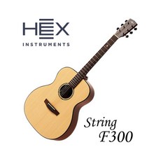 헥스 STING F300