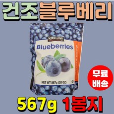 코스트코건블루베리