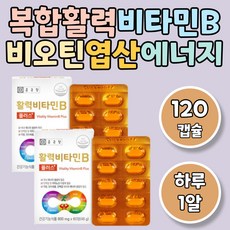 뇌불균형