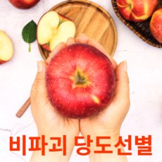 사과 TOP01