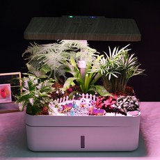 시금치수경재배