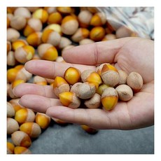 강천골농원 깐은행 1kg(특), 1개
