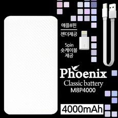 p4000