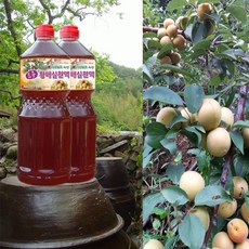 하동 매실원액 지리산산골 3년숙성 토종 황매실원액 1800ml 매실청 매실액기스 매실액, 2개