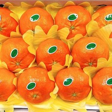 [명품] 프리미엄 제주 레드향 가정용 선물용 설 명절선물세트 2.kg 3kg 5kg 9kg, 1개, 레드향 중소과(16~30개) 4.5kg