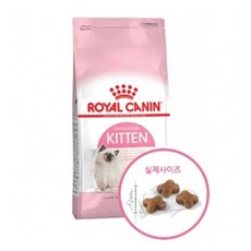 보드미_리빙 고양이사료 고양이 로얄캐닌 키튼 2kg 1P 자묘용 영양 건식 사료, 본상품, free - 로얄캐닌캔