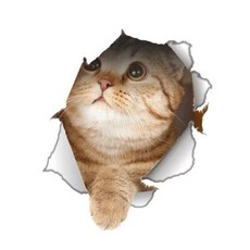 비닐 방수 고양이 개 3D 벽 스티커 구멍보기 욕실 화장실 거실 홈 데코 데칼 포스터 귀여운 동물 벽지, [04] cat3
