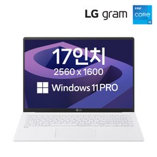 LG 그램17 11세대 i5 윈도우11프로 17인치 초경량 고해상도 NVME SSD