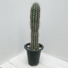 3a183c2d372c19cf676c6a65bbe716dca1283d9b2bcedc53da7e0fdacbc0.jpg