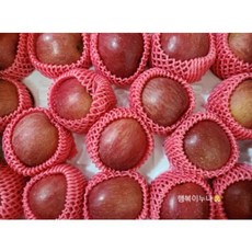 홍로 경북 꿀 사과 추석 선물세트 백화점 농협 납품 산지 직송, [홍로]사과 중과(로얄)(16-18과) 5kg