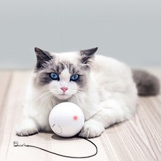 33a58db33faf943aaf01c2f6d886fc3942fc00704709ddeb1601baa0b9f6.jpg