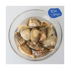 [남해바다] 왕바지락 2kg, 상세 설명 참조