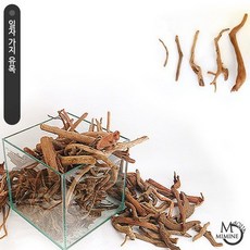 바보사랑 일자 잔가지유목(특소) 2개 .미미네아쿠아