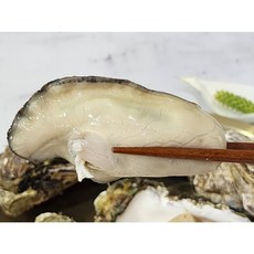 횟감 가능 대왕 삼배체굴 2kg (4-8미내외)