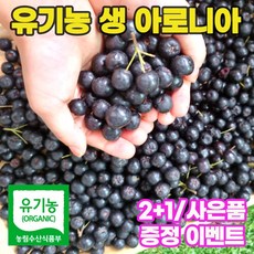 생아로니아3kg