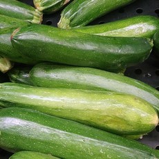 알뜰 국산 못난이 쥬키니 호박 한박스 주키니 호박 돼지호박 생호박 어글리채소, 1개, 10kg 랜덤