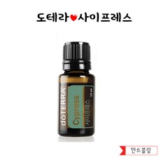 도테라사이프레스