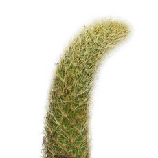 f0f440329a4f73183d6ef55cbe95de585f40a120d1302fb3fc2b3dc07bf4.jpg