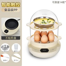 브라운푸드스티머