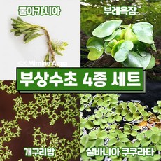 둥둥 수조 위 뜨는 부상 수초 키우기 4종 세트(SET25), 1세트