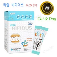 오랄앤