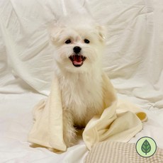 개달당 강아지 오가닉블랭킷 강아지블랭킷 중형 대형 강아지수건