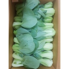 [산지직송 / 빠른배송] 2024 국내산 싱싱하고 아삭한 청경채, 1박스, 1kg