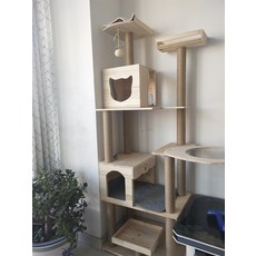 원목 캣타워 사계절 우주선 우주캡슐 투명 해먹 DIY 공간박스 운동기구 캣폴 3단, K-022 우주 캡슐개