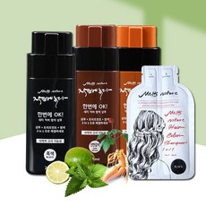 초간단 염색 새치 흰머리 염색샴푸, 다크브라운 250ml 2개, 2개, 250ml