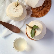 영코코넛