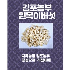 김포농부 국내산 흰목이버섯(건조)100g, 1박스
