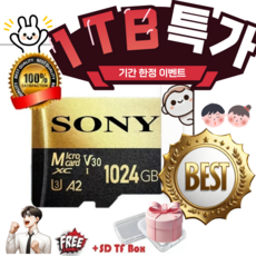 키오시아 EXCERIA 마이크로 메모리 카드 홈캠 블랙박스 CCTV SD LMEX1L128GG2, 1TB, 1개