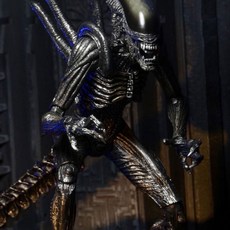 국내출고 에일리언 피규어 관절 액션 굿즈 NECA AVP alien 18cm