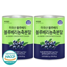 푸른들판 무설탕 블루베리 농축 분말 스틱 과일 가루 파우더, 2개, 90g