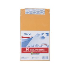 Mead Press-It Seal-It 봉투 25.4 x 33cm(10 x 13인치) 오피스 팩 20개 (76088), 15.2 x 22.9cm(6 x 9인치), 1개
