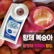 납작복숭아 TOP01