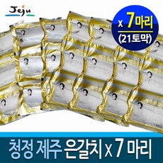 간갈치