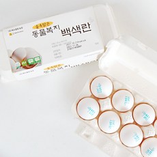 동물복지백색유정란