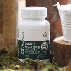bns산양유단백질