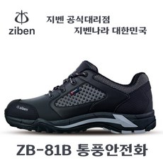 zb-81