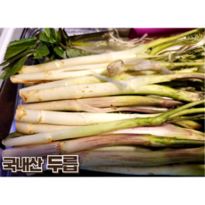 [산지직송] 강원도 땅 두릅 백미향 갓 수확한 신선한 두릅, 1개, 500g