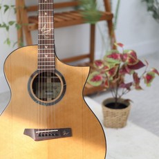 고퍼우드 i320RCE