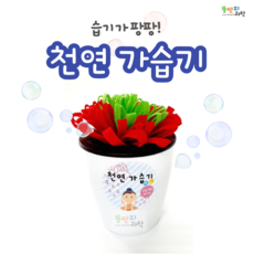 천연가습기만들기
