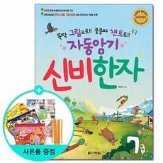 신비한자