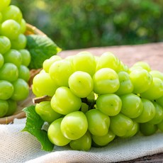 경북 샤인머스켓 1kg 2-3송이 가정용 외, 04_경북 샤인머스켓 2kg 5-6송이 가정용, 1개