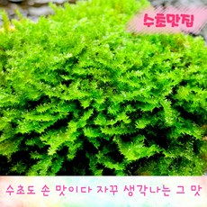 d3fcf49f6a569d3a13df172851aaf8cbd7a4f3a67b36c2bee451a1313d0a.jpg