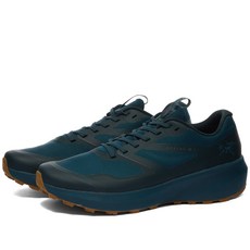 아크테릭스노반캡