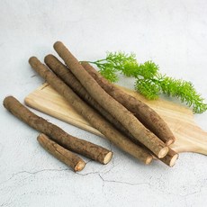 [더조은푸드] [더조은] 국내산 생 우엉 (알뜰반찬용 굵은것) 4kg, 상세 설명 참조, 1개