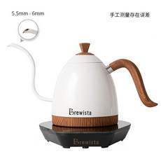 브뤼스타전기포트
