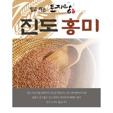 적토미